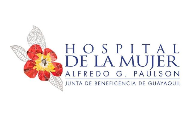 Hospital de la Mujer — proyecto NETTO