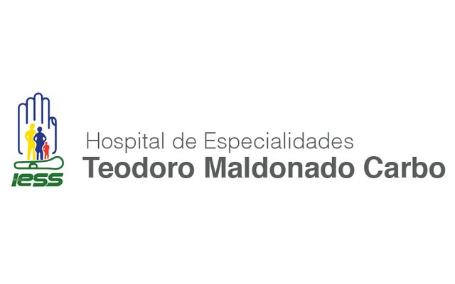 Hospital Teodoro Maldonado Carbo — proyecto NETTO